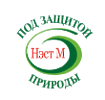 НЭСТ М