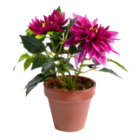 Искусственные цветы