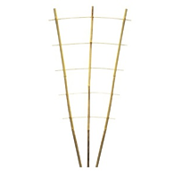 Шпалера бамбуковая веерная Шпалера бамбуковая веерная