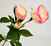 Пион ветвь 3 цветка нежно розовый 72см Пион ветвь 3 цветка нежно розовый 72см