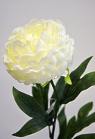 Пион одиночный кремовый 75см Пион одиночный кремовый 75см