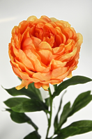 Пион одиночный оранжевый 75см Пион одиночный оранжевый 75см