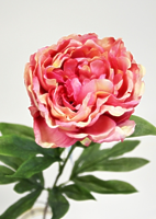 Пион одиночный розовый 75см Пион одиночный розовый 75см