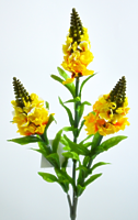 Люпин ветвь 3 цветка желтый Люпин ветвь 3 цветка желтый