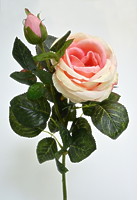 Роза британия 2 цветка розовая Роза британия 2 цветка розовая