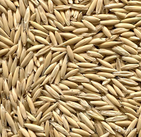 Овес посевной 1кг Овес посевной 1кг